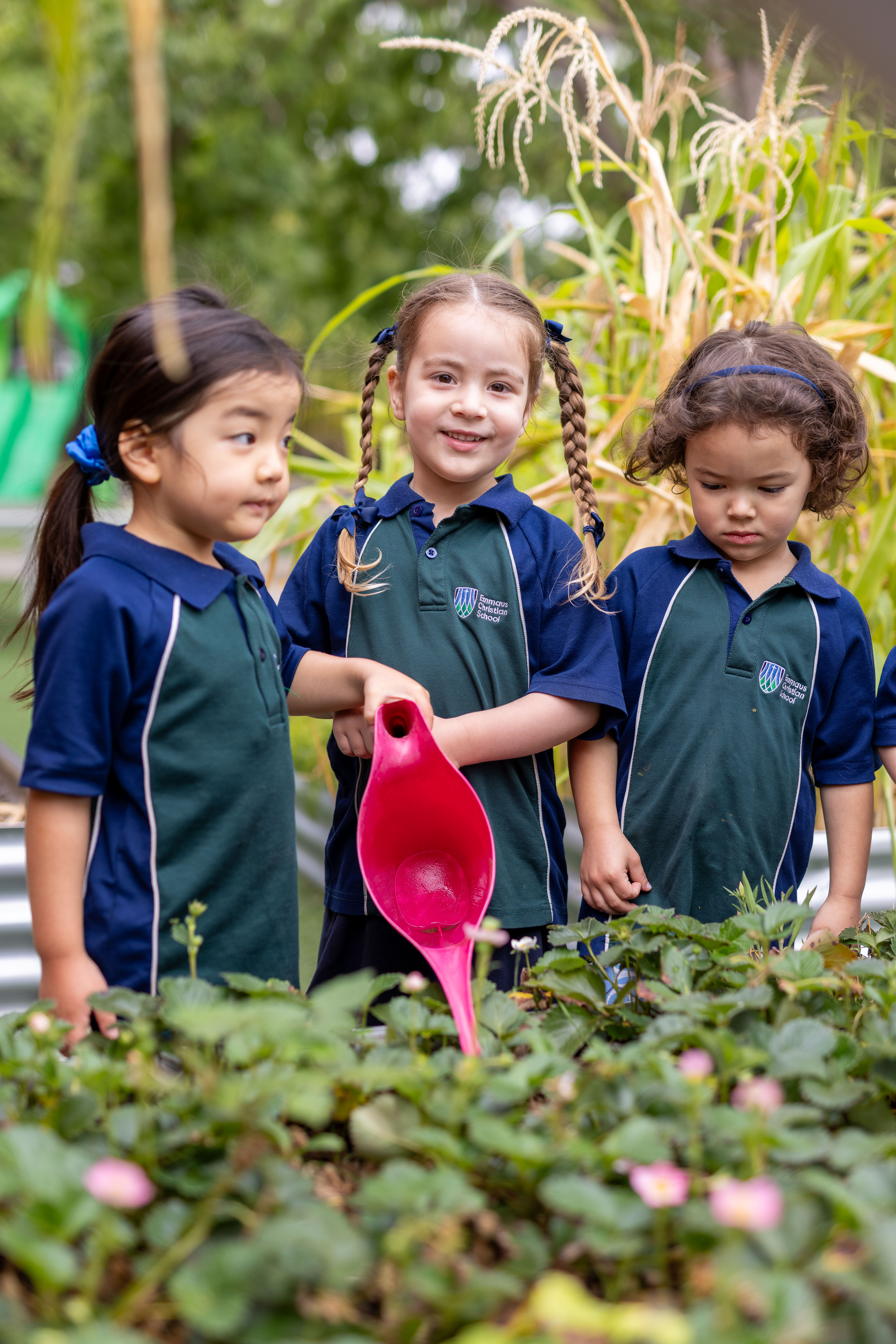 Emmaus Christian School 8